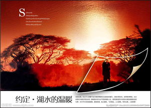 地產(chǎn)廣告設計 視覺驅動價值的藝術與實踐